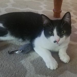 Meet your Posher, Catherine